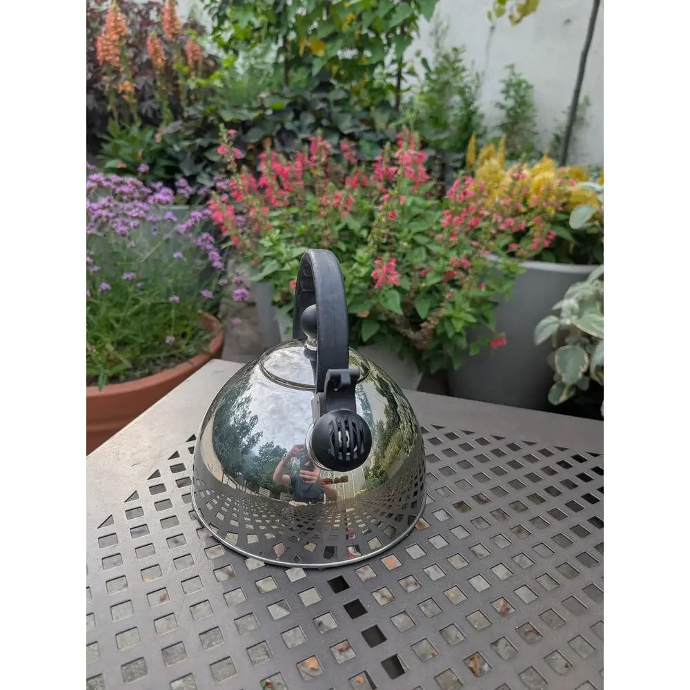 Stainless Steel Tea Kettle Whistling Teakettle 8